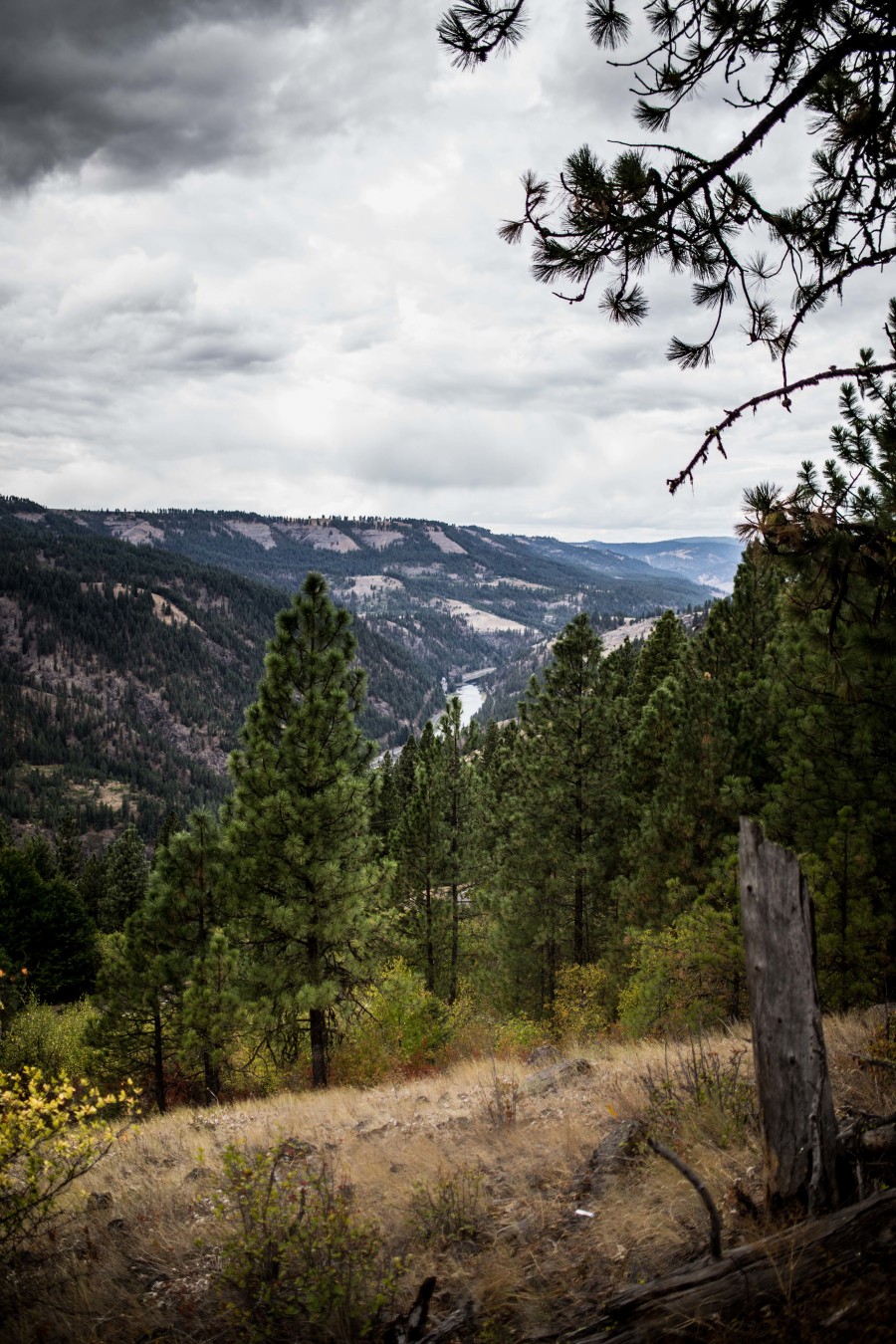 LIVE HERE Visit Us in North Central Idaho Kamiah Chamber of Commerce