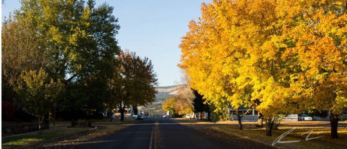 Fall colors
