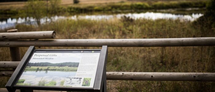 Interpretive signage